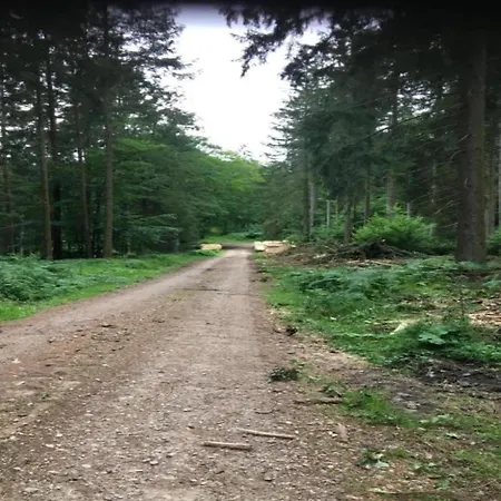 In With Garden Apartman