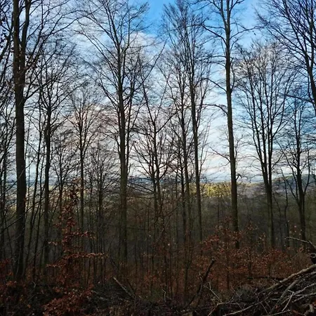 In With Garden * Altentreptow