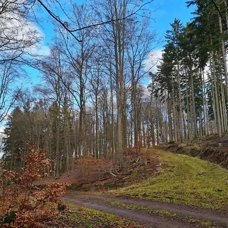 Apartman In With Garden *